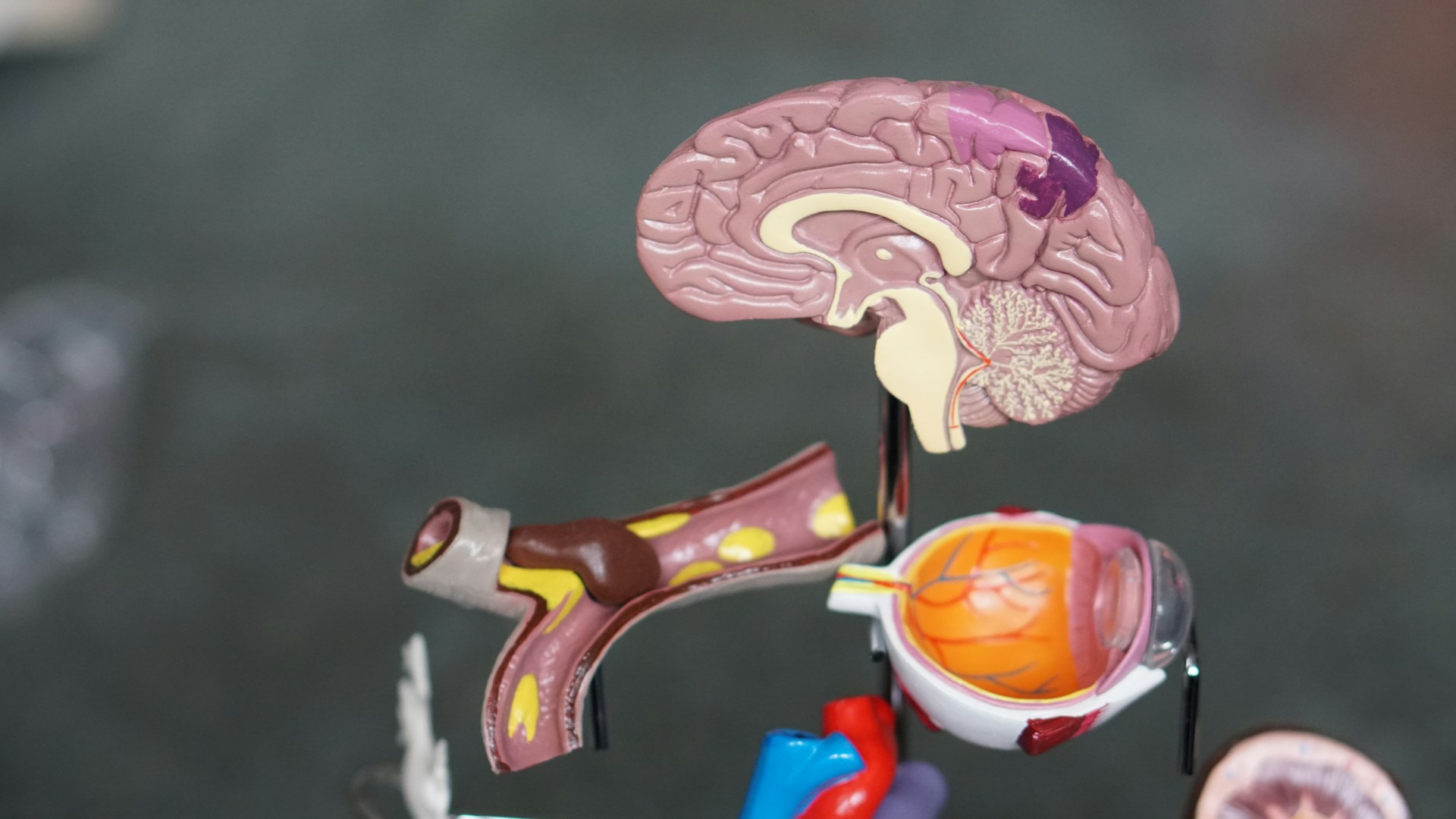 5 Ways Music Therapy Supports Recovery After Acquired Brain Injury (ABI)